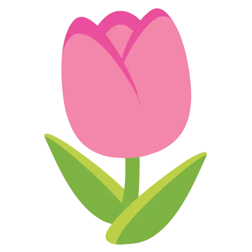 Tulip