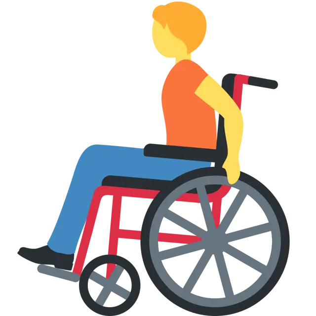 Person In Manual Wheelchair