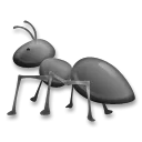 Ant