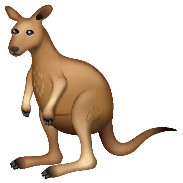 Kangaroo