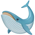 Baleine