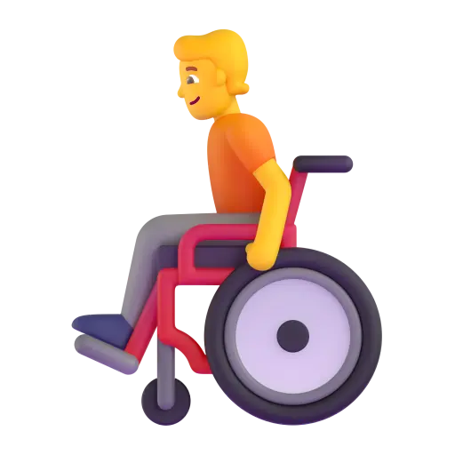 Person in Manual Wheelchair