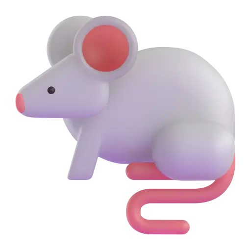 Mysz