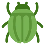 甲蟲
