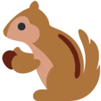 észak-amerikai mókus