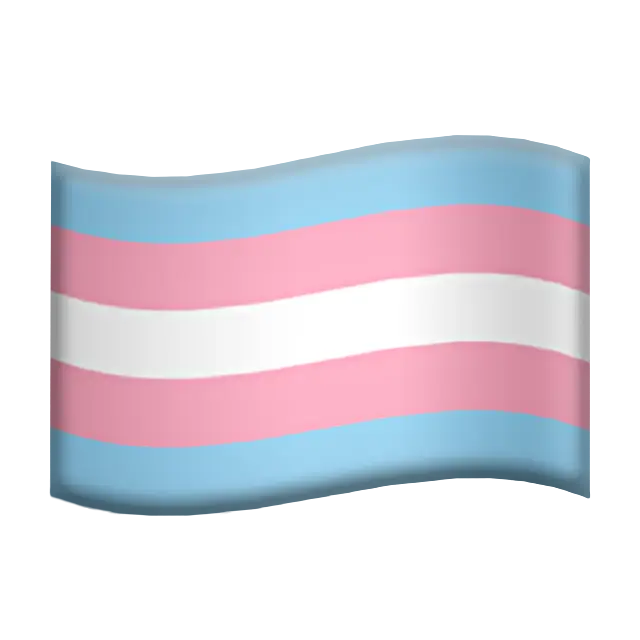 Transgender Flag