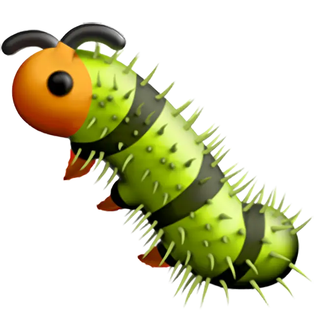 insetto