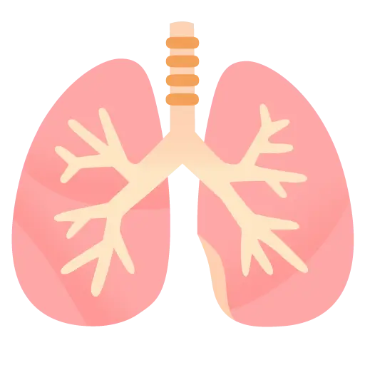 Lungs