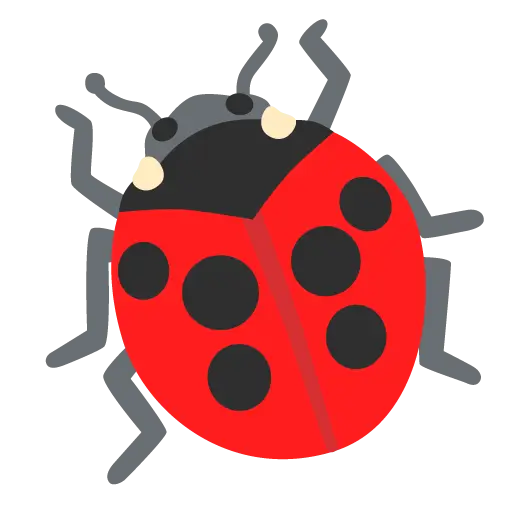 Lady Beetle