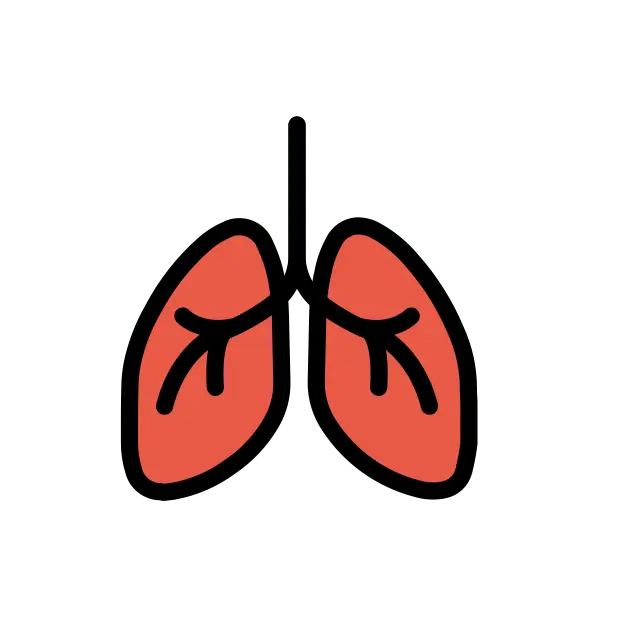 Lungs