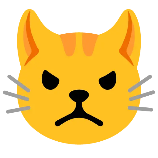 Cara de gato enfadado