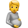 Pregnant Person