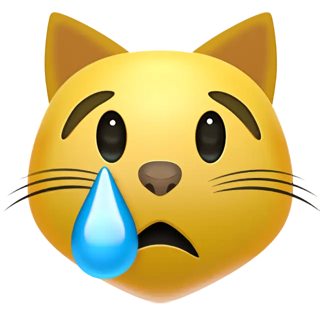 Crying Cat Face