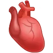Анатомическое сердце