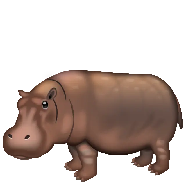 Hippopotamus