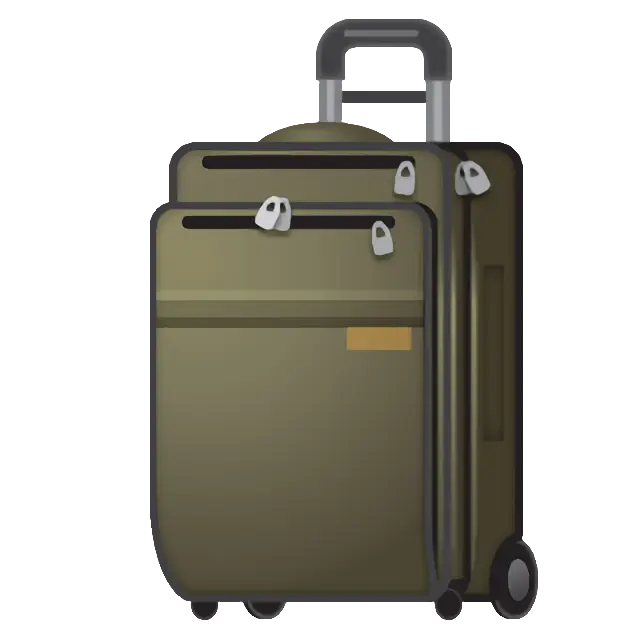 Luggage