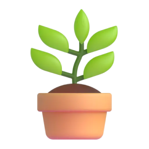 Potted Plant