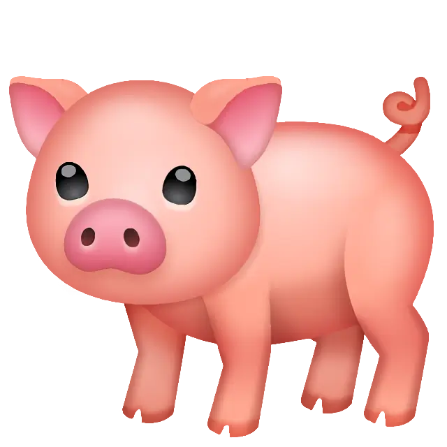 Pig