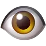 Eye