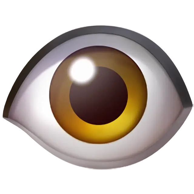 Eye