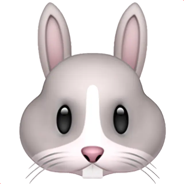 Face de lapin