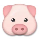 Cara de porco