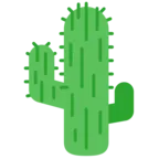 Cactus