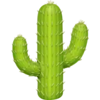 Cactus