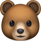 Cara de urso