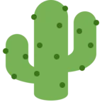 Cactus