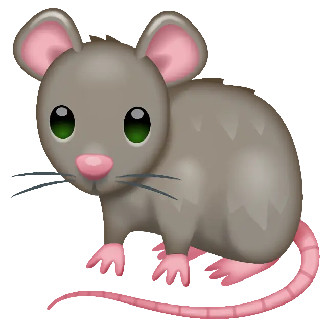 Rat