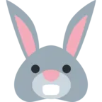 兔脸