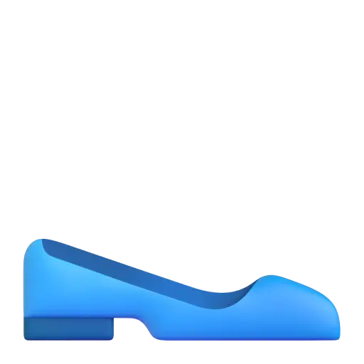 Flat Shoe