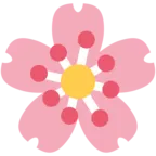 Kiraz çiçeği