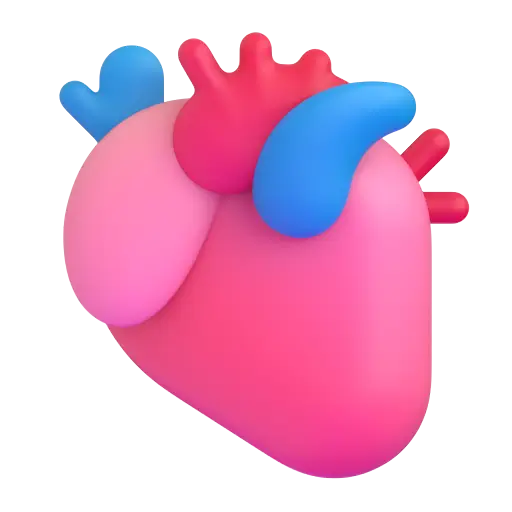 Анатомическое сердце