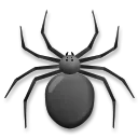 Spinne