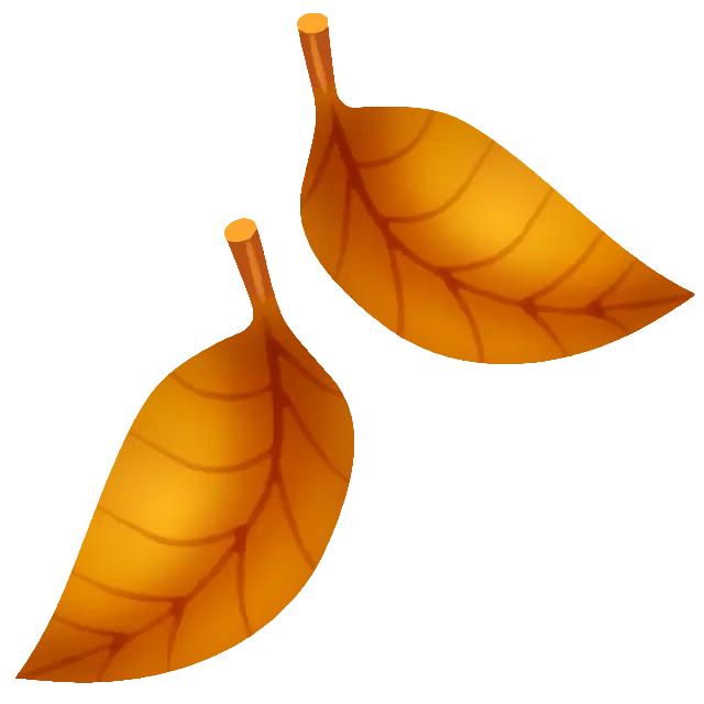 Fallen Leaf