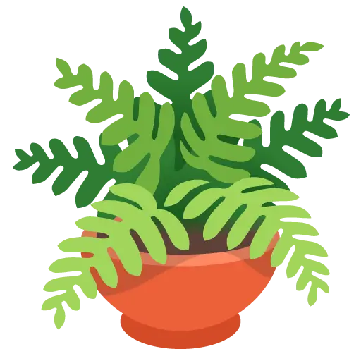 Potted Plant