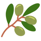 Aceituna