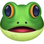 Froschgesicht