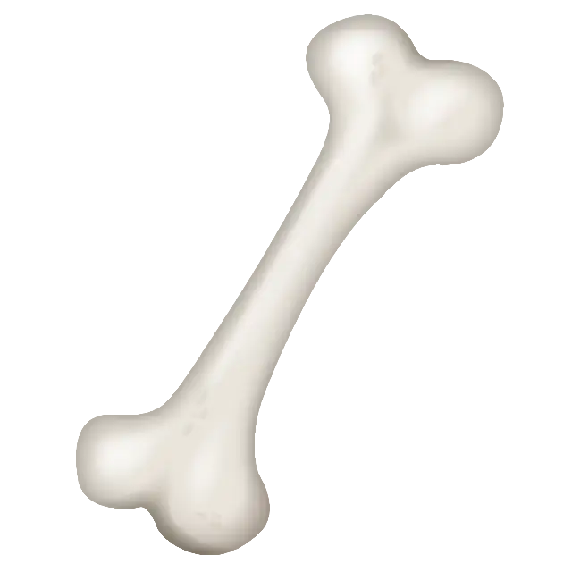 Bone