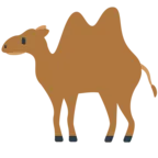 İki hörgüçlü deve