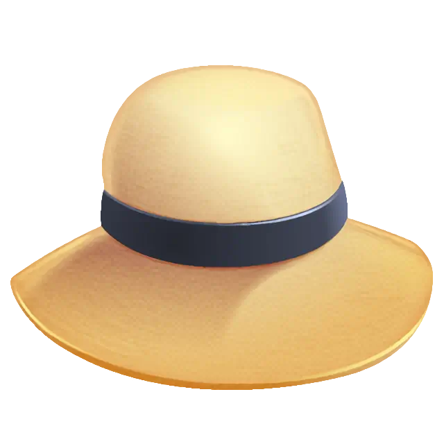 Woman’s Hat