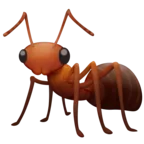 Ant