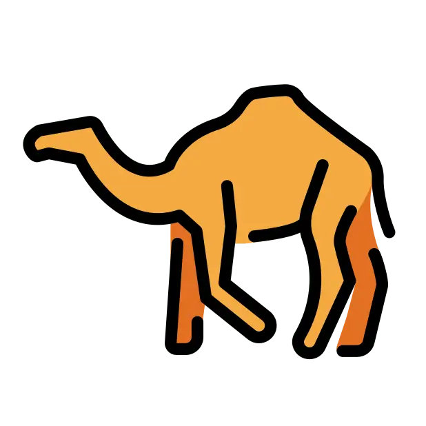 Camel