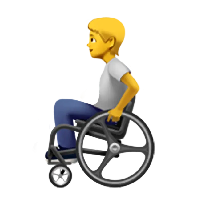 Person in Manual Wheelchair