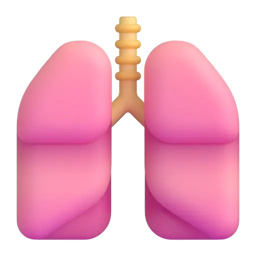 Lungs