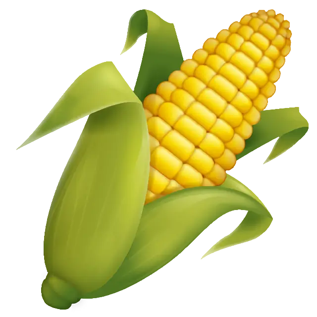 Ear Of Corn