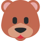 Bear Face