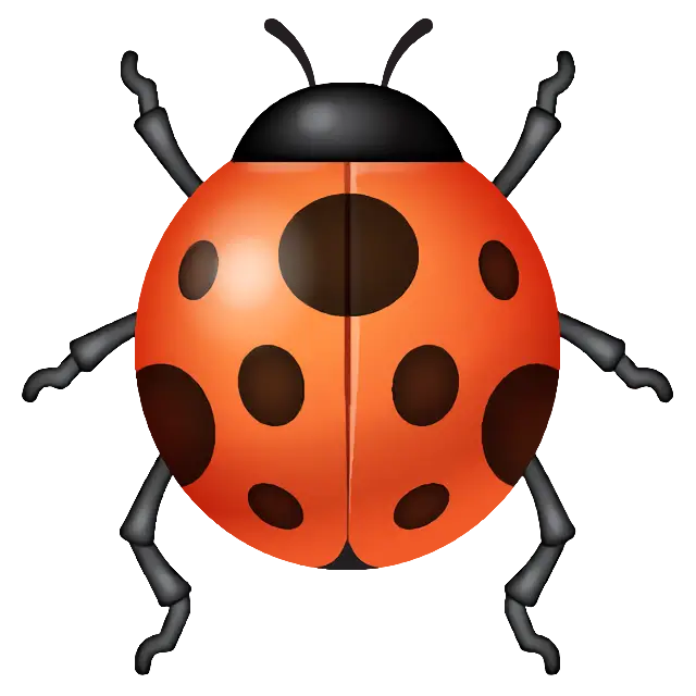 Lady Beetle